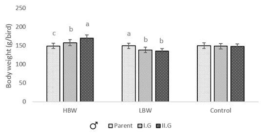 360 INDIAN JOURNAL OF ANIMAL RESEARCH Fig 2: Effect of Selection on body weight change in male Japanese quail. Each bar represents the mean±sem value (n=30).