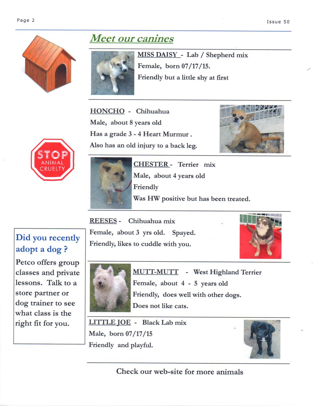 Page 2 Issue 50 Meet our canines MISS DAISY - Lab / Shepherd mix Female, born 07/17/15. Friendly but a little shy at first HONCHO - Chihuahua Male, about 8 years old Has a grade 3-4 Heart Murmur.