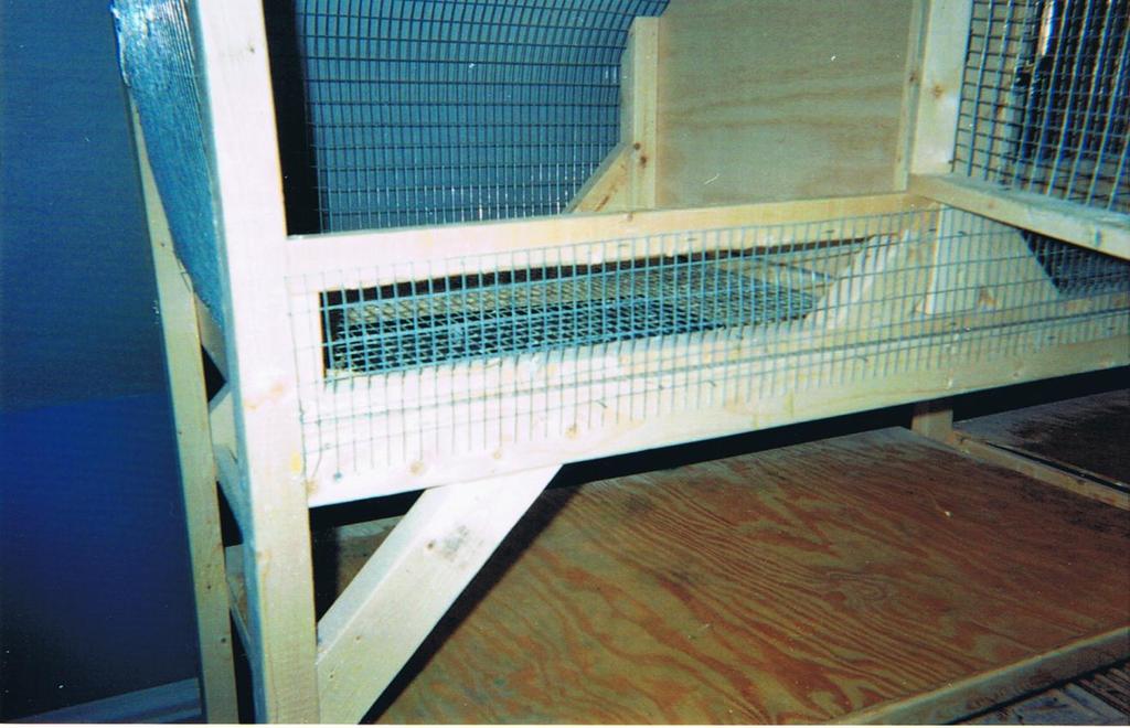 Note screen floor and wooden bottom to