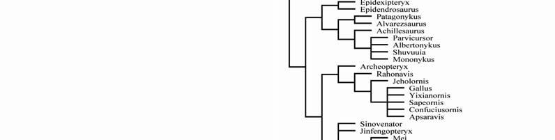 fundamental cladograms depicting phylogenetic