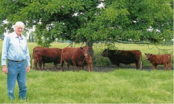 We did have some enquiries as to the suitability of Devons in a cross breeding and heifer mating programs and it is always good to meet past and present clients by talking to them one gets a better