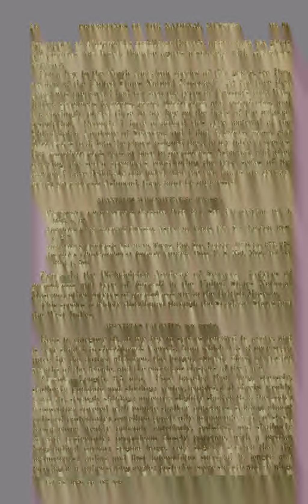 15 PKOCEEDINGS OF THE NATIONAL MUSEUM. vol.61. description of Allapanteles ceckliptae Brethes, upon AYhicli the genus Allapanteles was based, likewise agrees absolutely with Apanteles Foerster.