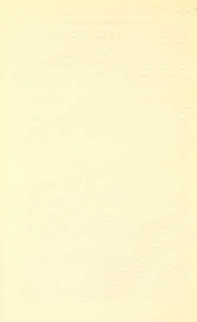 ) 38 PROCEEDINGS OF THE NATIONAL MUSEUM. vol.61. the National Collection also one male specimen reared from Swammerdamia on black birch by C. R. Ely at East River, Connecticut, August 19, 1917. 20.