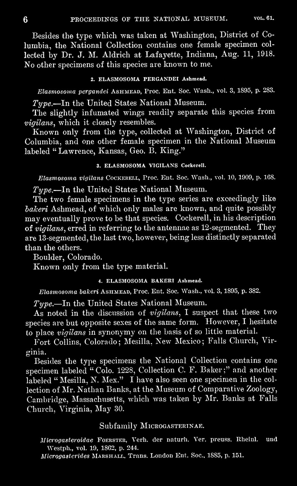 ELASMOSOMA VIGILANS Cockerell. Elasmosoma vigilans Cockerell, Proc. Ent. Soc. Wash., vol. 10, 1909, p. 168. Type. In the United States National Museum.