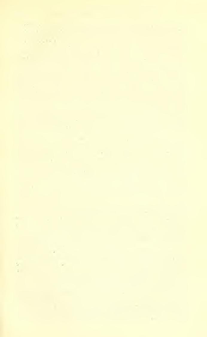 ART. 15. REVISION OF ICHNEUMON-FLIES MUESEBECK. 7 Microgastennae Cresson, Synopsis Hymen. N. Amer., 1887, pp. 55, 59. Microgasteridae Marshall, in Andrg, Species Hymen. Europe, vol. 4, 1888, p. 439.