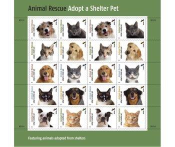 com If you would prefer we e -mail your newsletter, please let us know. STAMPS TO THE RESCUE Starting April 30th you can buy stamps at the PO that help feed and rescue abused pets.