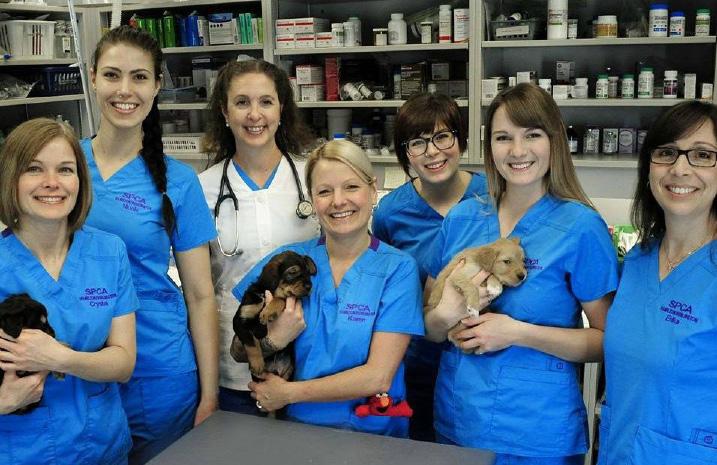 ABOUT THE HAMILTON/BURLINGTON SPCA Innovative pet visiting programs reach children and youth with autism, seniors in their homes, and youth in residential settings.
