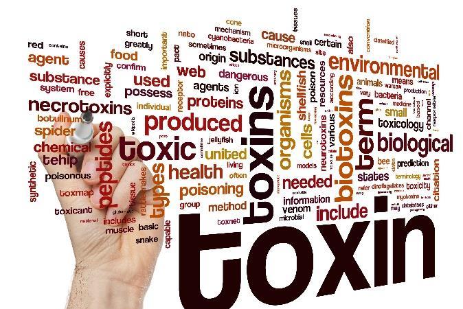 There are numerous types of toxins that a terrorist organization can employ against its enemies.