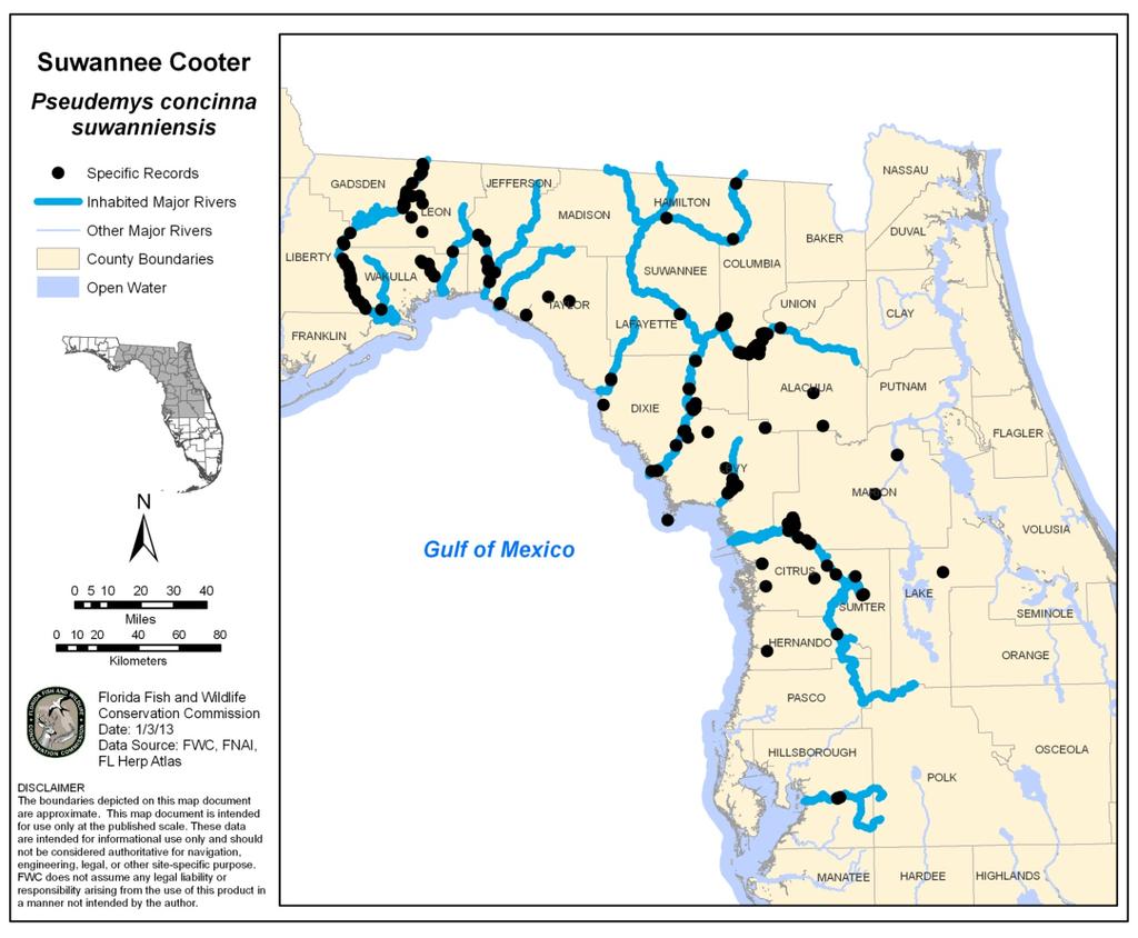 INTRODUCTION Figure 3. Distribution and recorded observations of the Suwannee cooter in Florida. Specific localities from Krysko et al.