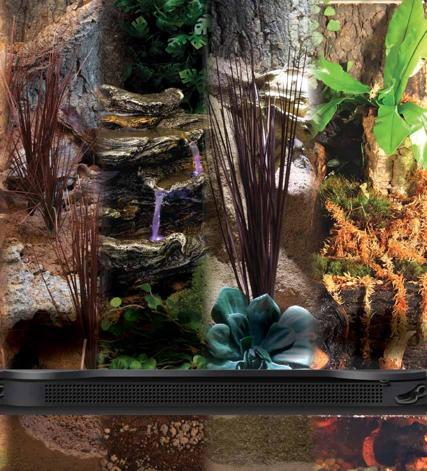 BUILDING A HOME FOR YOUR PET Start with a Zoo Med s Naturalistic Terrarium and add in the appropriate substrate, cage furniture, and plants until you have created a small piece of nature and