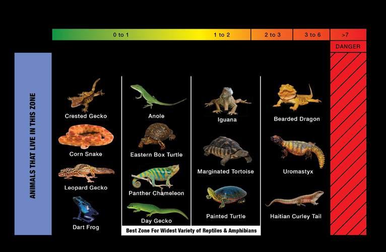 UVB FOR REPTILES What Is UVB? UVB is part of the sun s natural light spectrum.