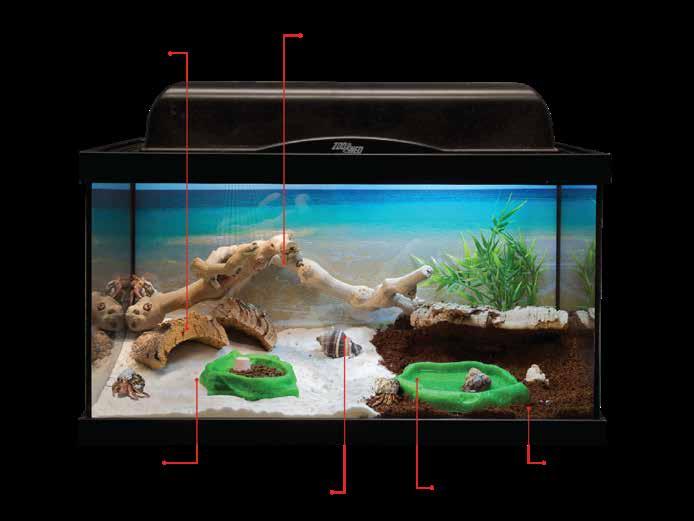 (2) Hermit Crab Water Conditioners. REPTISAND Midnight Black. Zoo Med s Hermit Crab Food. Hermit Crab Mineral Block. Hermit Crab Soil.