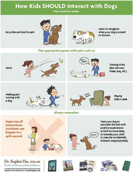 Kids and Dogs: How Kids Should and Should Not
