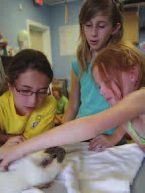 This past year has seen school visits increase particularly in the Town of Milton where students and teachers alike were committed to making our world a kinder place for animals.
