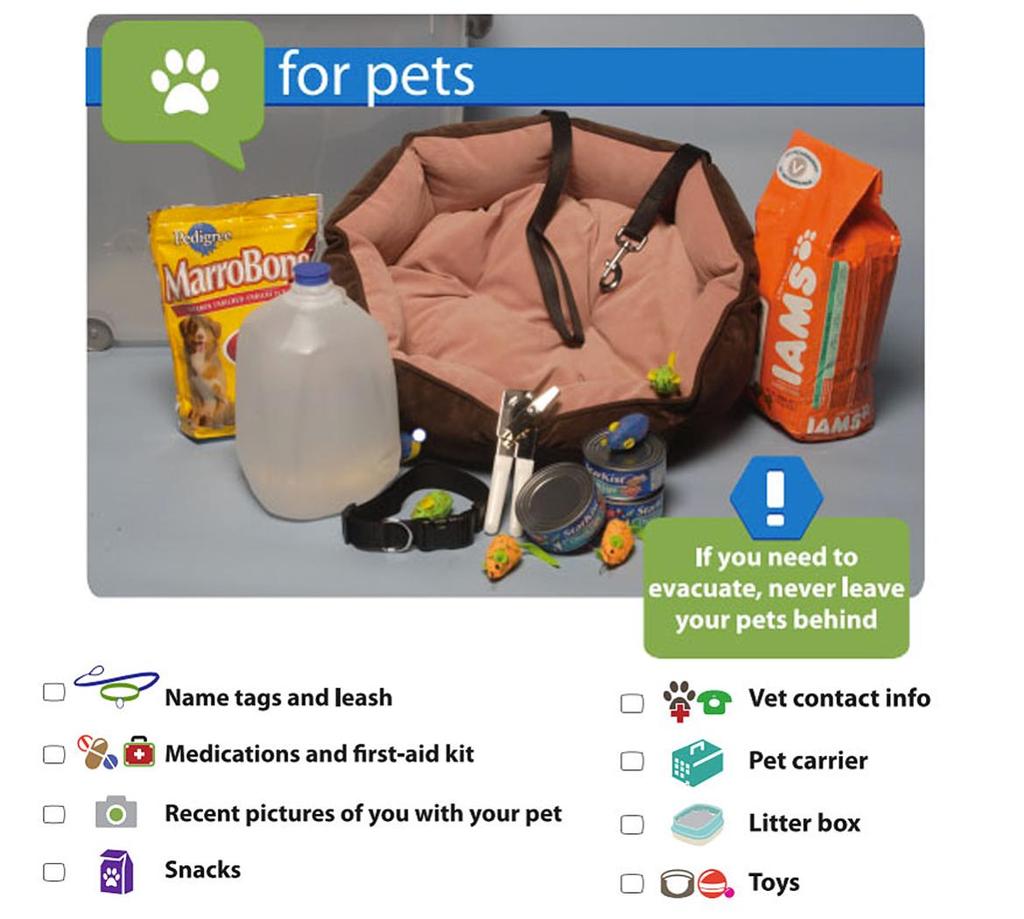 Continued from Page 1 Familiar items such as toys and treats One other thought in an emergency, including severe weather, don t leave your pets outside. Bring them in.