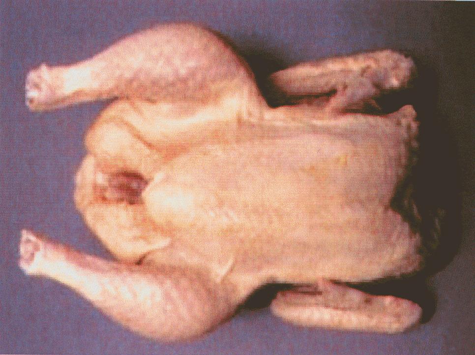 (c) Grades for ready-to-cook poultry and specified poultry food products may be assigned only when: (1) each carcass, part, or poultry food product, including those used in preparing a poultry food