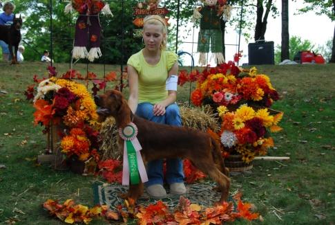 >Davis and Bailey, CH Courtwood Always Bailey, CGC for BOB at the Altoona KC Show on Saturday and Laurel Highlands on Sunday. In addition, Davis handled many dogs over the Butler, Erie show weekend.