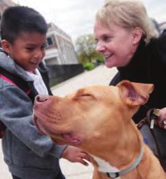 CYNTHIA BATHURST Executive Director Safe Humane Chicago Court Case Dog Program at Chicago Animal Care and Control Dogs in playgroups find rescue or adopters faster than those who are not.