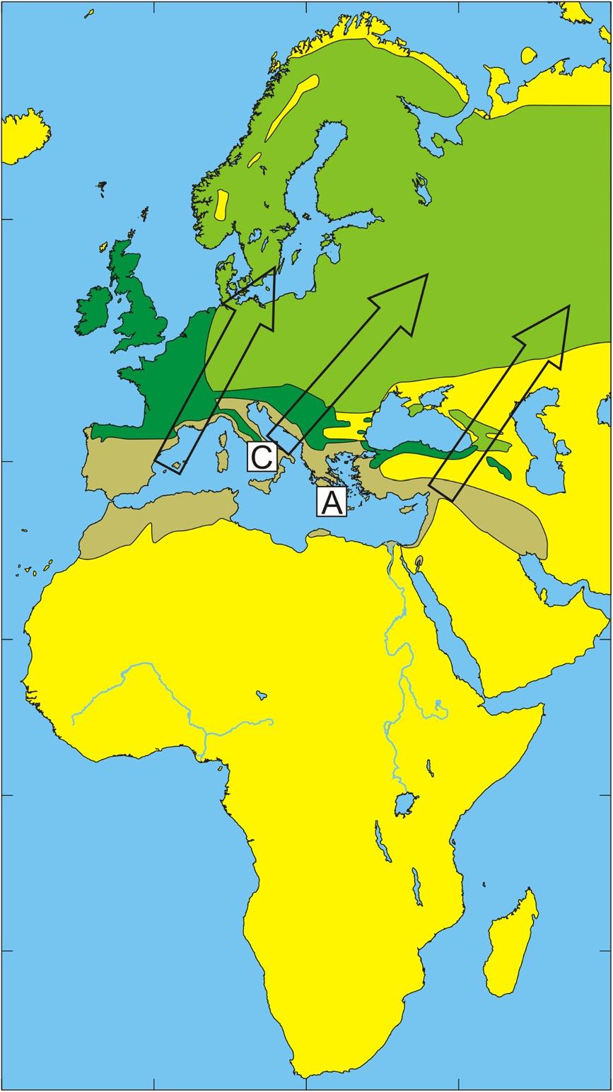 Wallménius et al. Parasites & Vectors 2014, 7:318 Page 13 of 20 Figure 2 Illustration of the wintering and breeding areas and migration directions of five bird species.