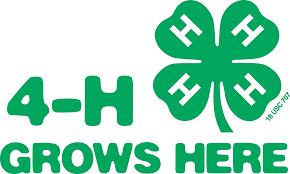 Participate in the 4-H Grows Campaign at The Saratoga County Fair!