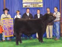 She produced the 2010 Reserve Champion SimSolution Bull at the North American Livestock Exposition, 2010 Champion Percentage Simmental Female in Ring A & B at the Heart of It All, and the 2010