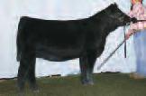 IN DEW ME M M 11 0.7 34 61 9 0 17 21-0.15.12.20.04 -.06 117 64 26A: 3 - #1 EMBRYOS SIRED BY HTP SVF IN DEW ME This truly a once in a lifetime opportunity!