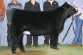 K18 was one of the high selling females from last year s The One Sale bringing $22,500 half interest.