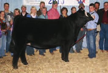 She has been mated several different ways and the results have been outstanding. Her genetic power is most recently evidenced by the success Matt Pemberton (IA) has had with LKR Daisy Duke.