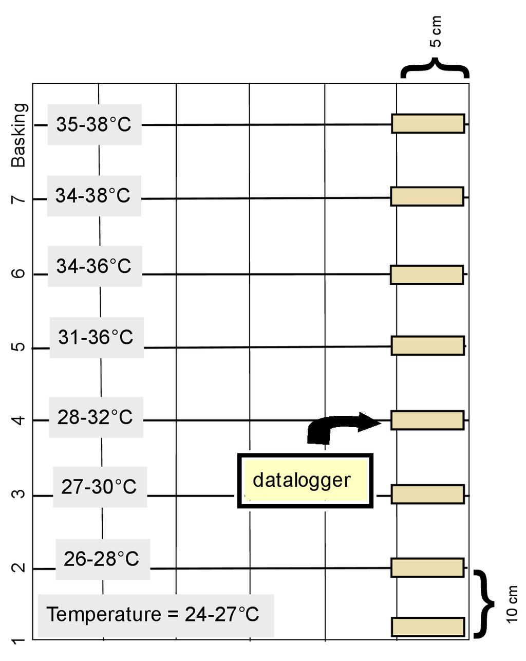 created a thermal gradient that was monitored with temperature dataloggers (Onset Computer Corporation HOBO) placed every ten centimeters along the tank.