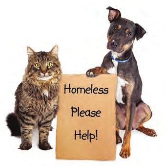 WHY WE NEED YOUR SUPPORT BE A PART OF THEIR FUTURE Sanilac County Humane Society is doing something unique by raising all of the needed funds through