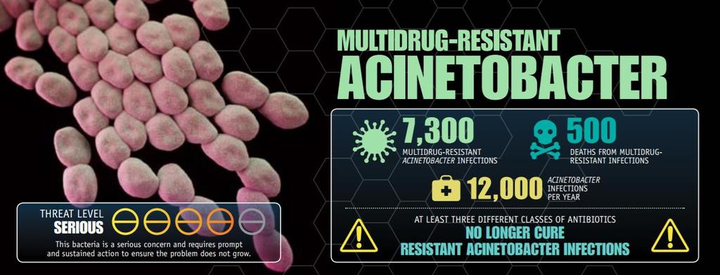 TP-6076: Targeting MDR Gram-Negative Infections Potent activity in vitro against multidrug-resistant Gram-negative pathogens, including Acinetobacter baumannii On CDC and WHO list of serious threats