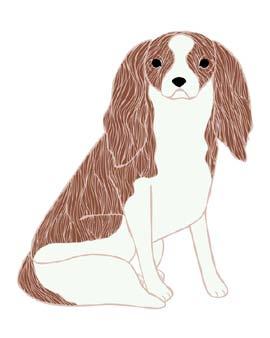 DOG ART PRINTS Art prints featuring original dog illustrations by Stacie Bloomfield PRICE GUIDE ITEM PRICE PER ITEM MINIMUM PER STYLE GREETING S SINGLE