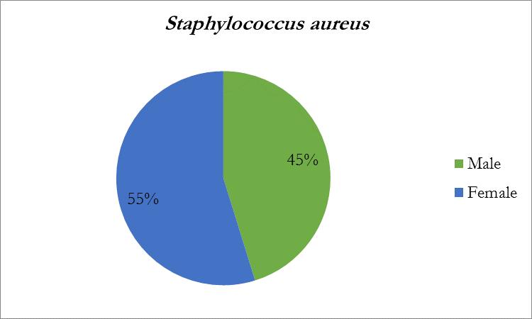 Fig. 1: Distribution of gender with Staphylococcus aureus nasal colonization Susceptibility pattern of S.