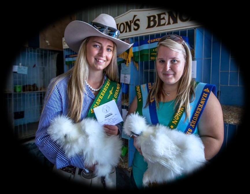 $100 FOR BEST IN SHOW Sponsored by Poultry R Us $50.00 Reserve In Show Sponsored by J R McBurney PLUS LOTS MORE!