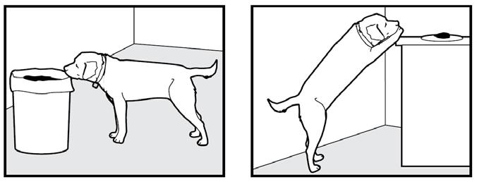 5. When your dog stops chasing the object, immediately release the button, walk backwards and give the Come command. Praise your dog as he comes to you. 6.