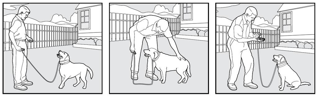 4. Move up through the Stimulation Levels until your pet reliably responds to the stimulation. 5. If your pet continues to show no response at the Highest Level, check the fit of the Receiver Collar.