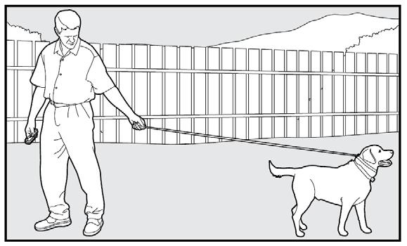 The Come Command 1. Put a separate, non-metallic collar on your pet s neck ABOVE the Receiver Collar, and attach a 10-foot leash.