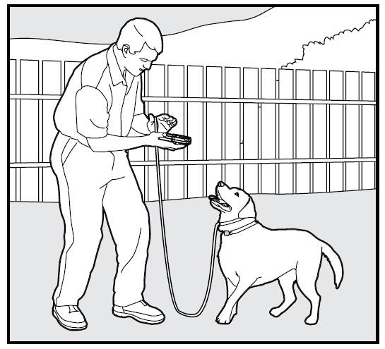 Immediately release the [S] Button as soon as your pet steps towards you, and praise him enthusiastically. 7.
