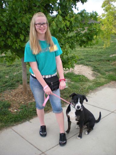 Canine Volunteers Level II Level II Dog TLC Teens ages 14 yrs+ Most adults Most training equipment Taught to handle somewhat fearful/aroused dogs Canine Volunteers Level III DOG TRAINERS Required