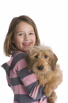 Laws for Responsible Dog Owners The Dog Act 1976 is administered and enforced by local governments within their respective districts.