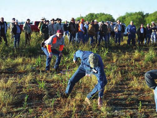 Restoration Project Field Day in conjunction with the Red River Quail Symposium (RRQS) on October 13, 26, in Wichita Falls, Texas.