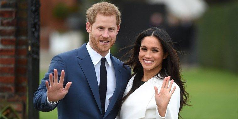 Station 5: Co-Dominance Prince Harry and Meghan Markle are in love with cats. They would really like to have a kitten that is brown and black.