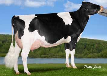 7 DPR EASY CALVING DPR PL Vector Mustbe Magic Silver x Jacey x Planet ITB: HOCANM0000877 NAAB Code:4HO0454 aaa: 4365 Dam: Silvercap SGO Jacey Mustbe GP83 nd Dam: Sandy-Valley Planet Melody VG87 Mr