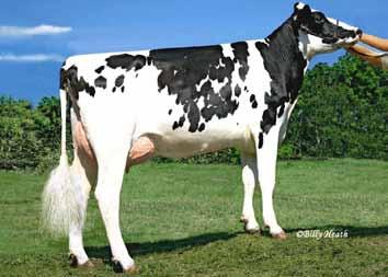 8 DPR PL DPR EASY CALVING Mr Blondin Powerful-PP RDC Powerball x Supersire x Colt-P Red ITB: HO840M33508750 NAAB Code:4HO0450 aaa: N/A Dam: Butlerview Pixie SS 57453 GP84 nd Dam: Butlerview Colt