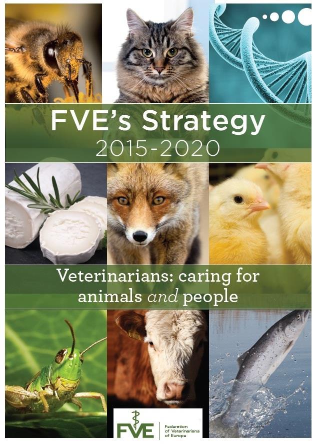 FVE strategy 2015-2020 Mission Special reference to work on