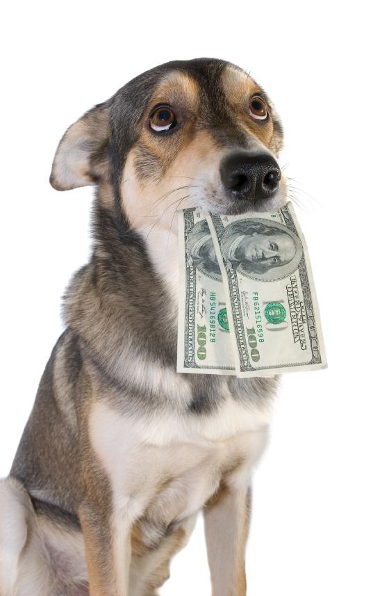 Tips for Saving Money on Your Dog Food, Dog Products and Dog Care By the publishers of DogTipper.