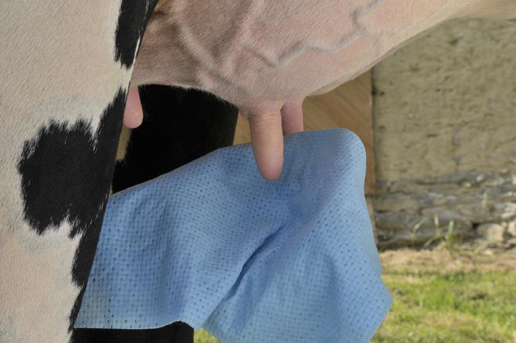 HYPRED SOLUTIONS Cloth-solution for preparation of the teats before milking