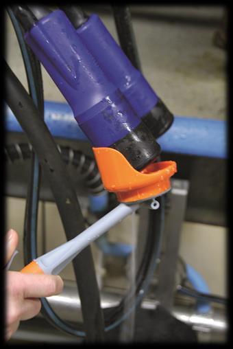 PROTECT CYCLE METHOD During milking