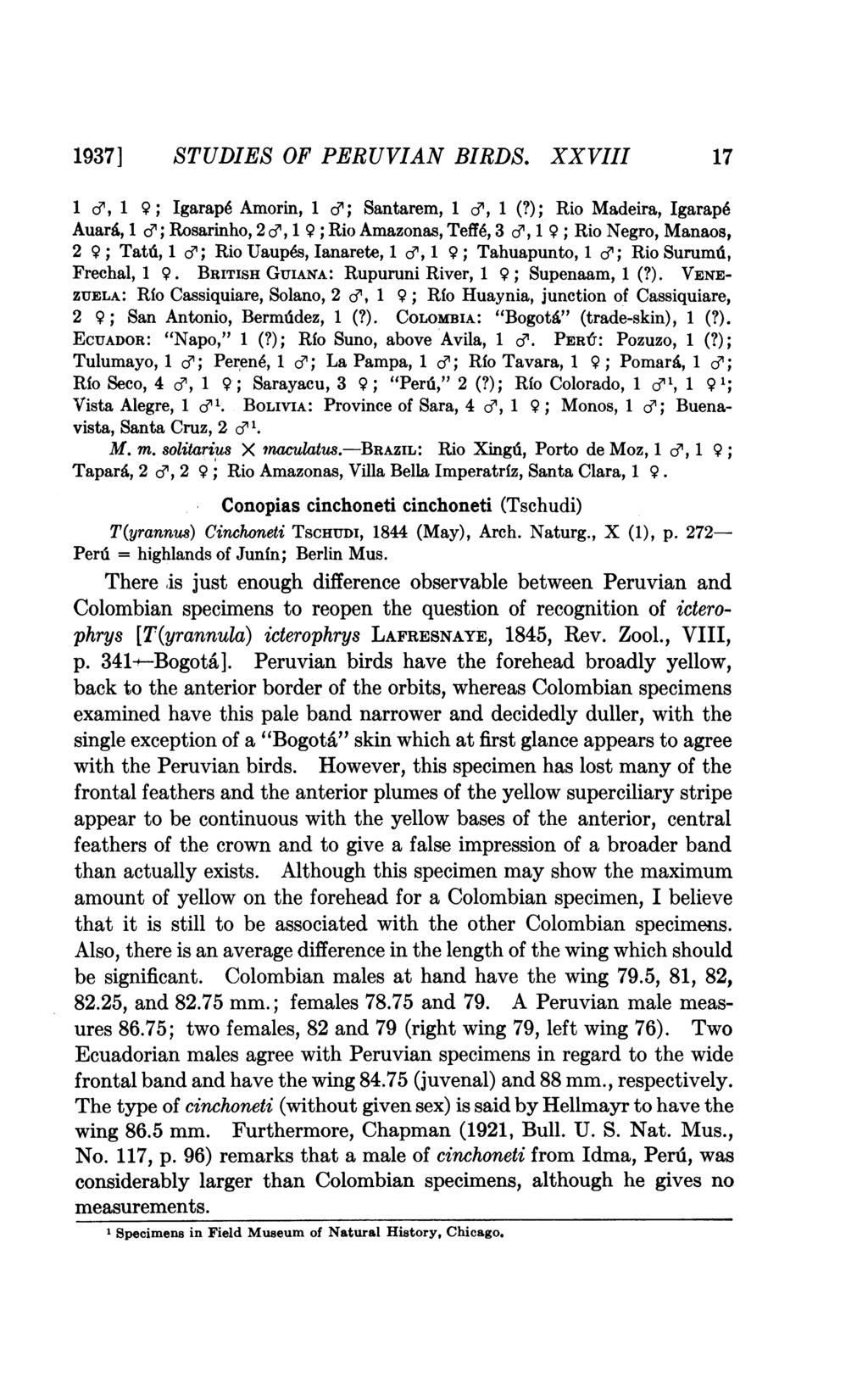 1937] STUDIES OF PERUVIAN BIRDS. XXVIII 17 1 e, 1 9; Igarap6 Amorin, 1 di; Santarem, 1 e, 1 (?