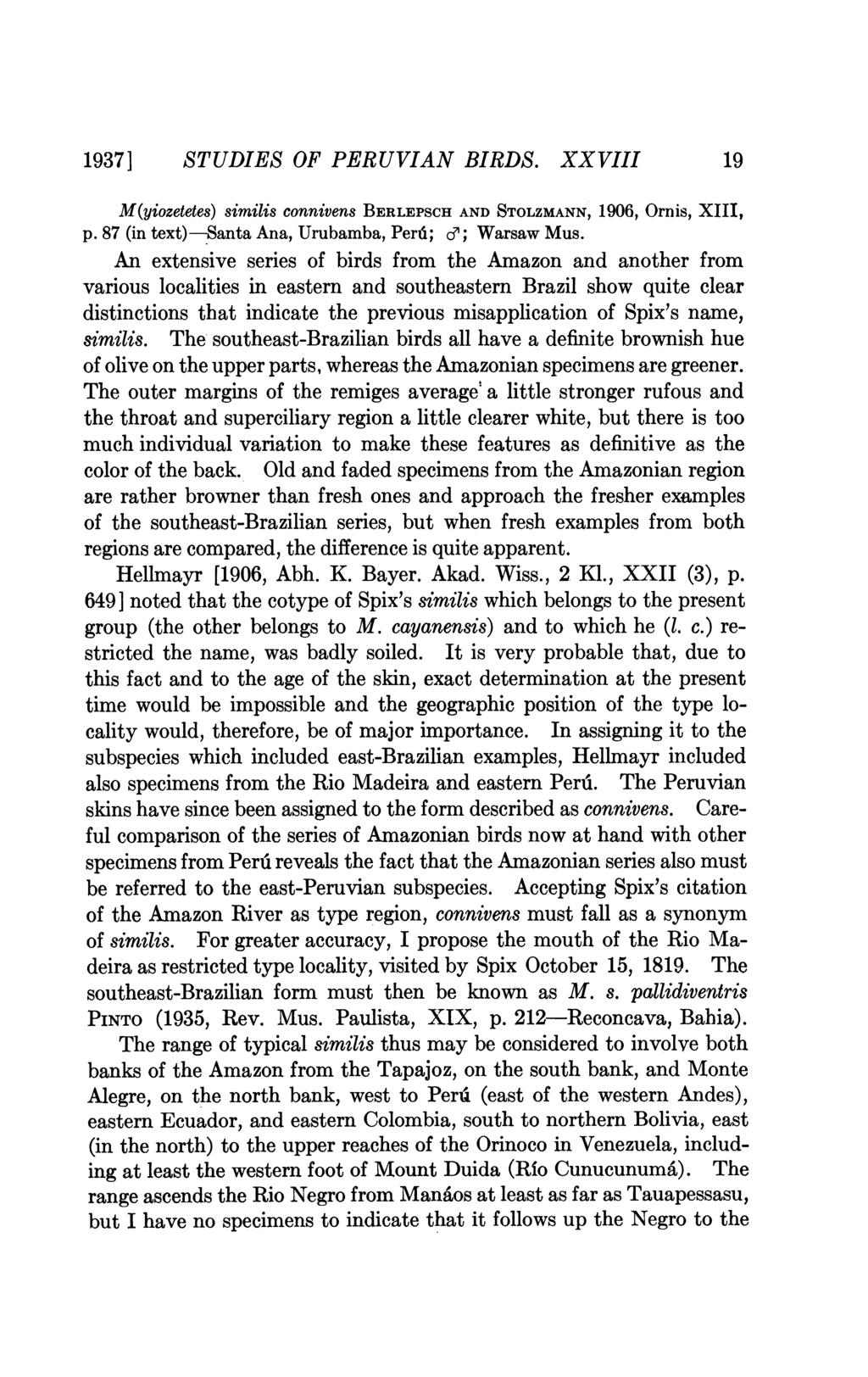 1937] STUDIES OF PERUVIAN BIRDS. XXVIII 19 M(yiozetetes) similis connivens BERLEPSCH AND STOLZMANN, 1906, Ornis, XIII, p. 87 (in text) -Santa Ana, Urubamba, Perd; d; Warsaw Mus.
